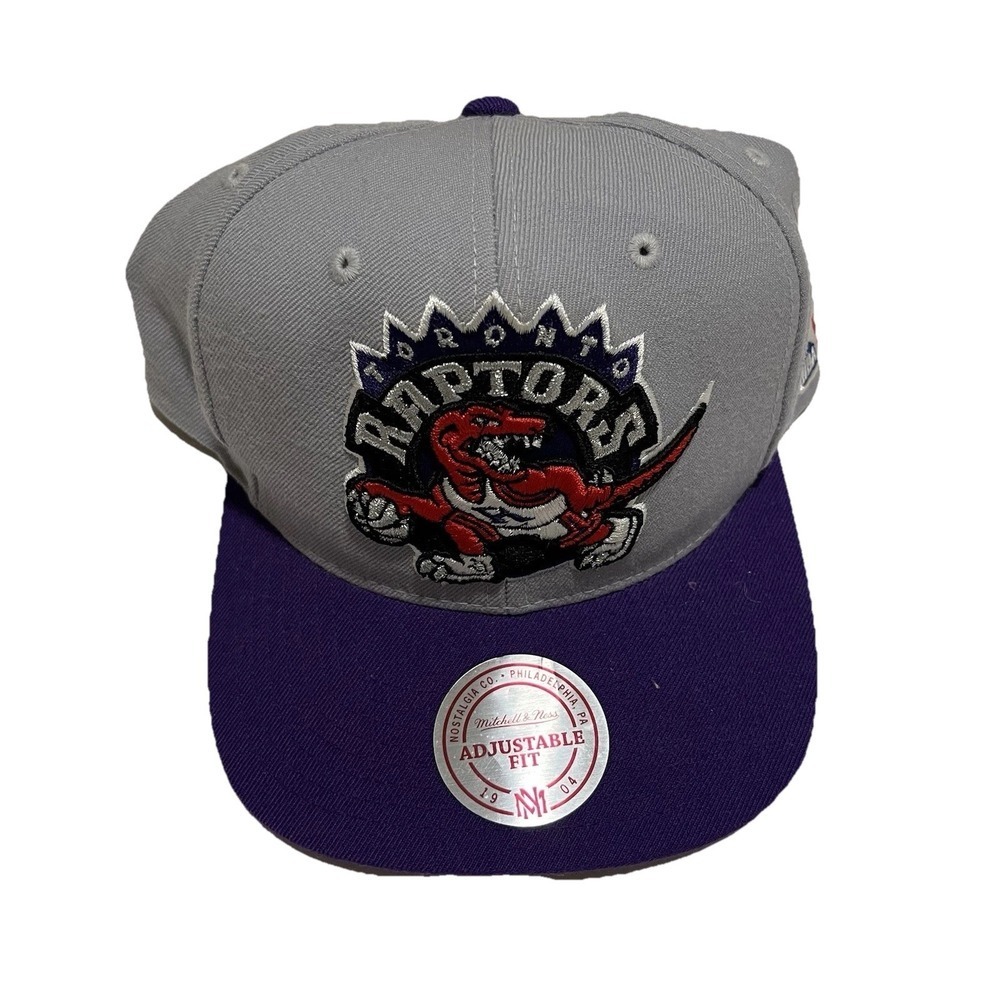 Mitchell &‎ Ness Toronto Raptors Hardwood Classics Snapback Hat Grey Purple Wool